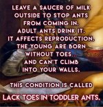 FB_IMG_1775878978238.jpg
