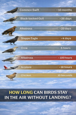 1777087873496.png