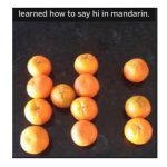 1777697186696.png