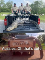 1777988737497.png