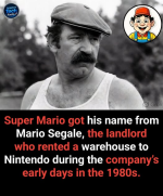 1778058251288.png