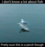 FB_IMG_1776728059702.jpg