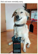 1778592843234.png