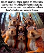 FB_IMG_1778363630941.jpg