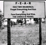 1779709386026.png