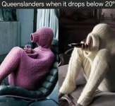 1780875560027.png