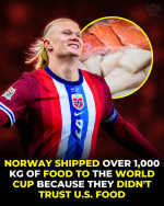 1781913272476.png
