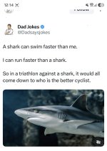1000015934.jpg