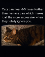 1782311769776.png