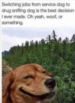 FB_IMG_1782549005133.jpg