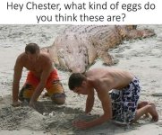 FB_IMG_1782852563693.jpg