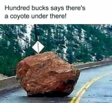 1783030332293.png