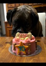 ZOe Cake.jpg