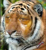 1679703652550.png