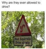 FB_IMG_1783322496364.jpg