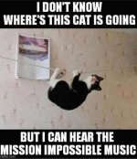 FB_IMG_1783979630372.jpg