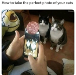 1784551547646.png