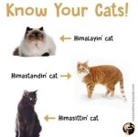 FB_IMG_1784752875607.jpg