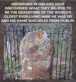 1784951076084.png