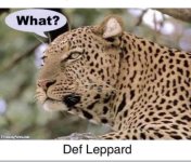 FB_IMG_1785097122332.jpg