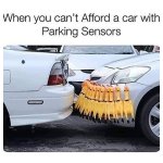 FB_IMG_1783159473276.jpg
