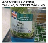 1785306373848.png