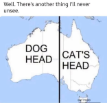 1785311693502.png