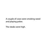 FB_IMG_1785309937481.jpg