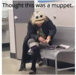 FB_IMG_1785195065649.jpg