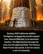 1785973475652.png
