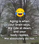 1787005259441.png