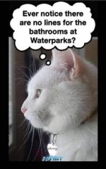 FB_IMG_1786837916045.jpg