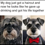1788697099120.png