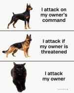 FB_IMG_1789186605795.jpg