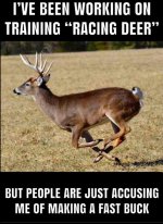 FB_IMG_1789272416338.jpg
