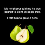 FB_IMG_1787716389994.jpg