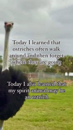 1789912547913.png