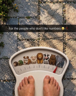1790600741592.png