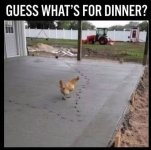 FB_IMG_1790541767503.jpg
