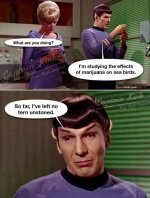 FB_IMG_1790541717639.jpg