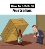 1790949055802.png