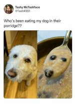 1791580654232.png 1791580654232.png