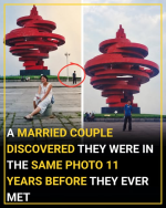 1792483192661.png 1792483192661.png