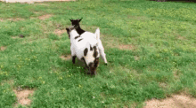 1682241172476.gif