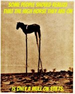 6f033adad1fc9dfa2a6a8e7341cb9090--govt-mule-horse-quotes.jpg