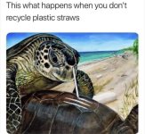 1684634936339288.jpg