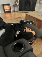 IMG_6935.jpeg
