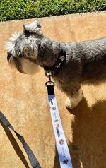 IMG_5525.jpeg
