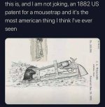 images (15).jpeg