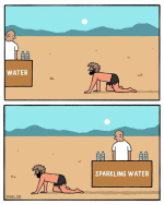 1693904526932.png